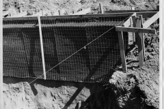 Historical photograph