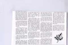 1990